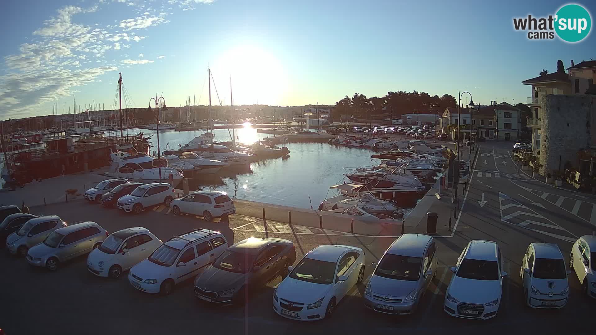 Novigrad | Porporela marina