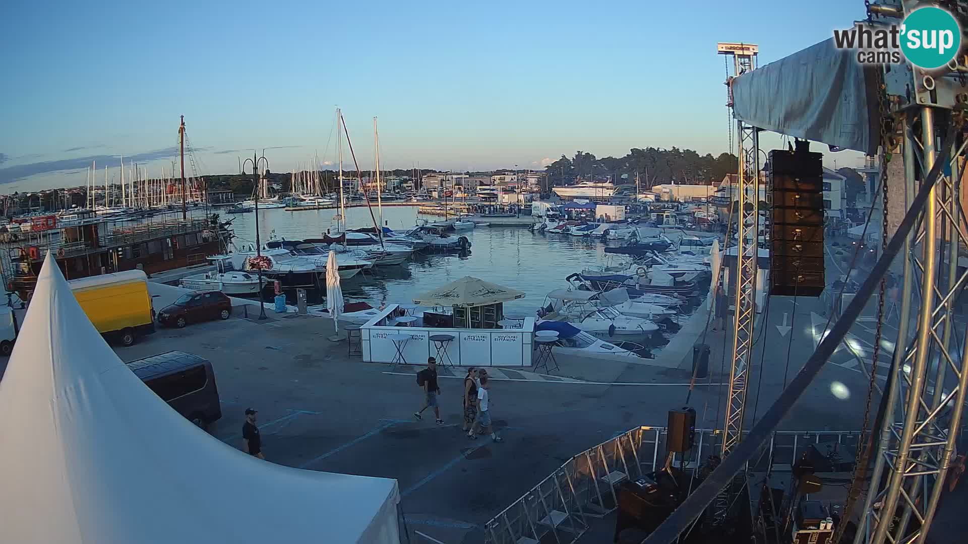 Novigrad | Porporela marina