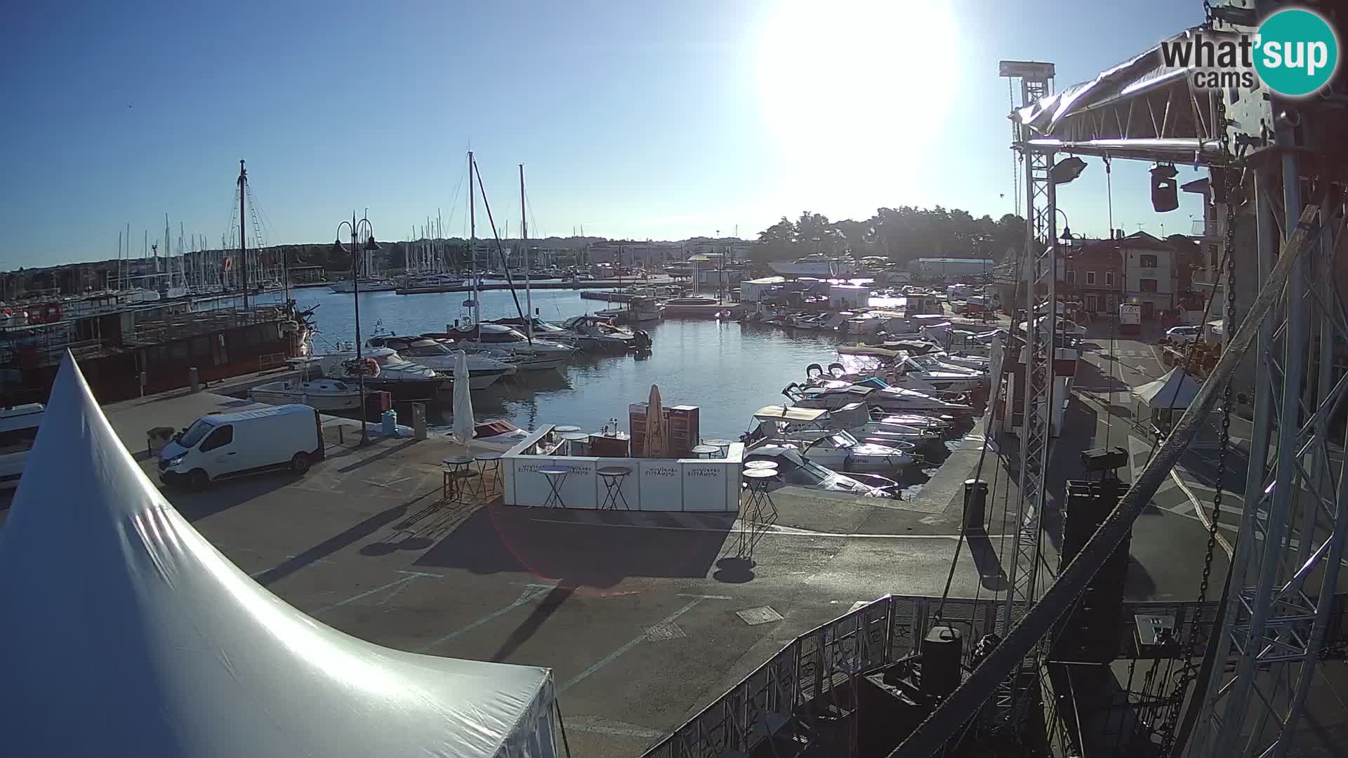 Novigrad | Porporela marina