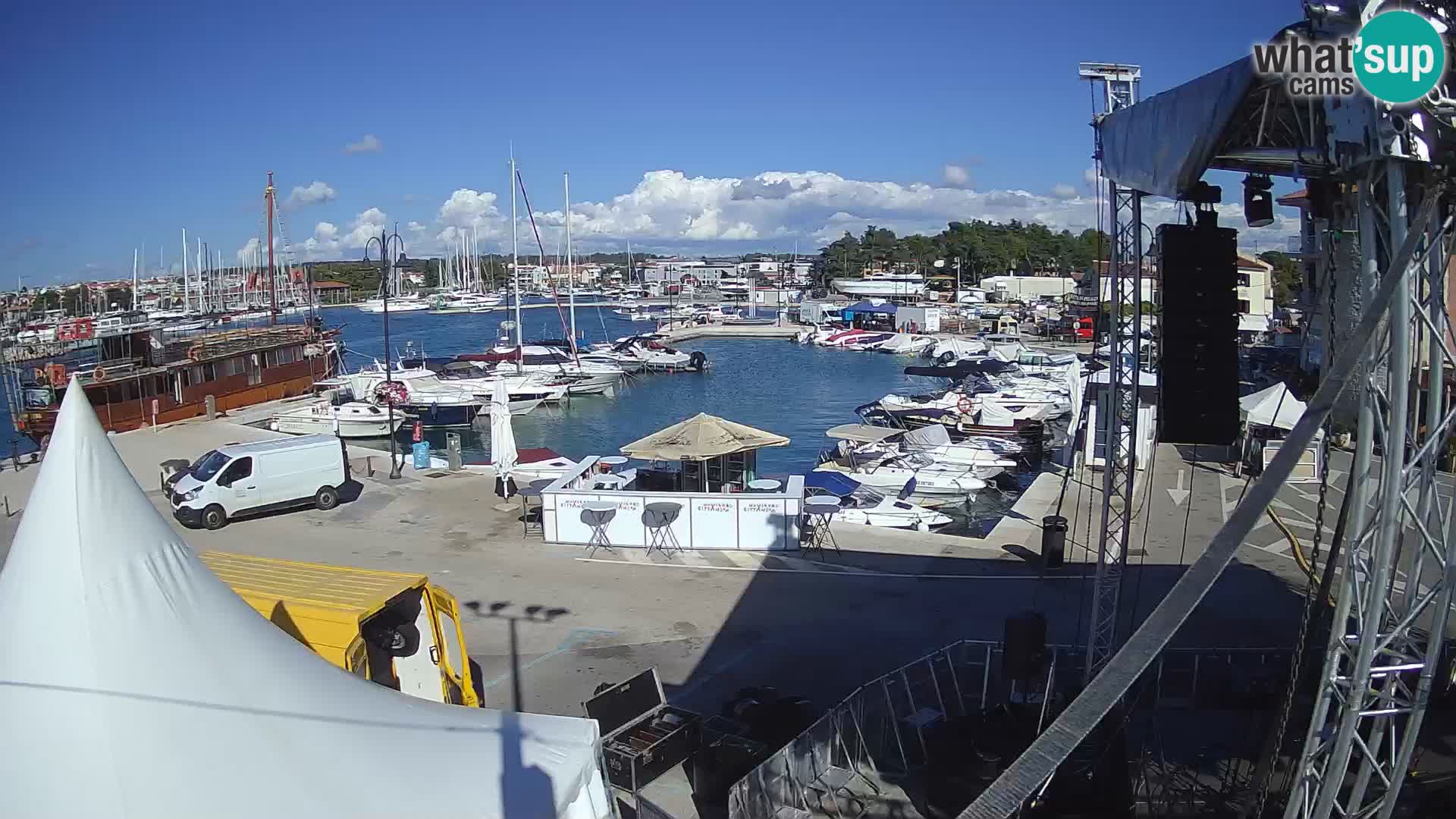 Novigrad | Porporela marina