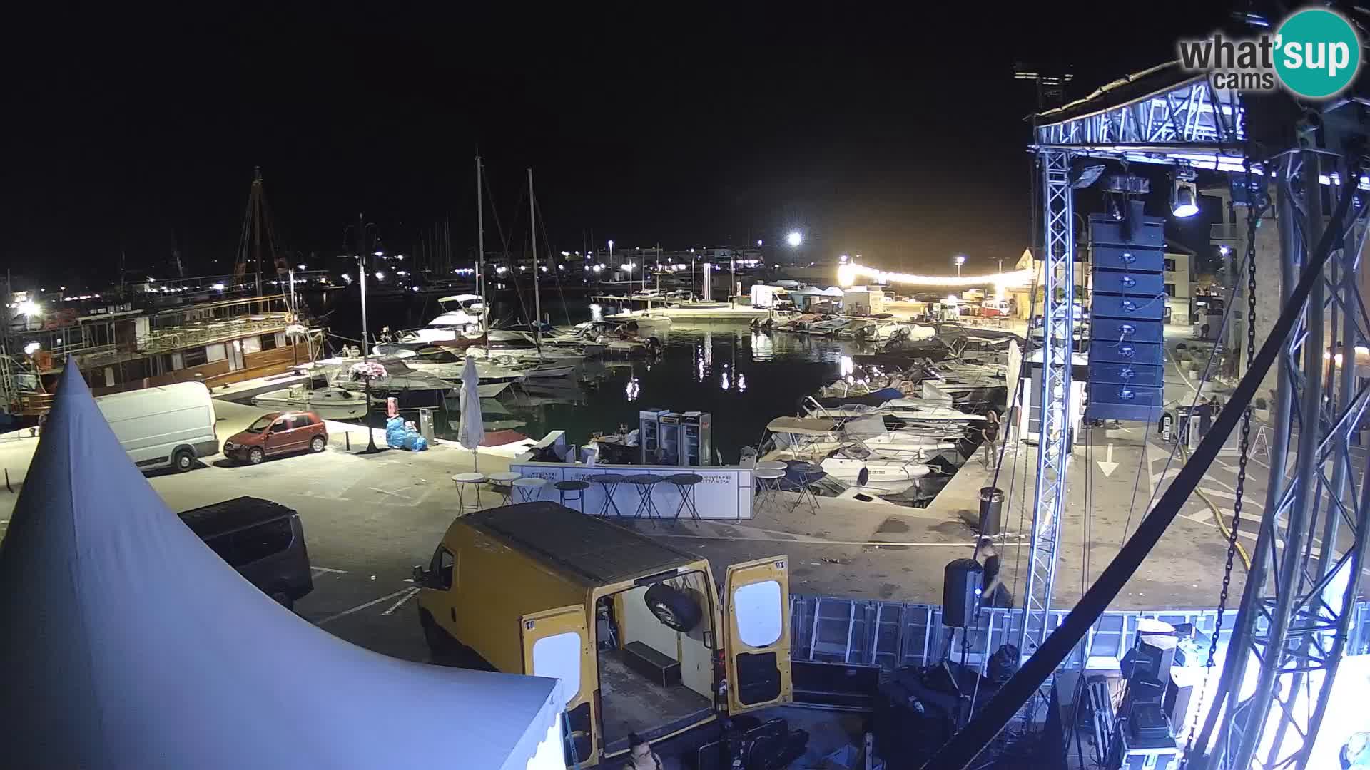 Novigrad | Porporela marina