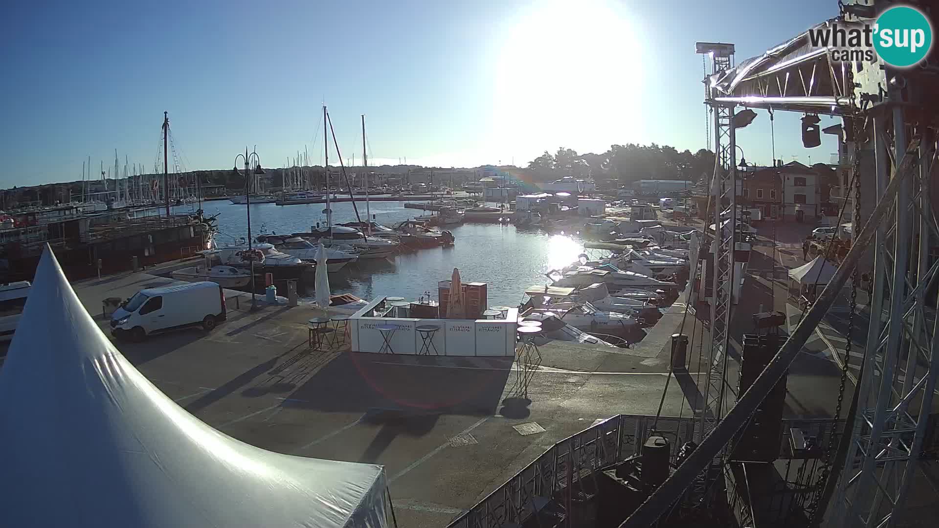 Novigrad | Porporela marina