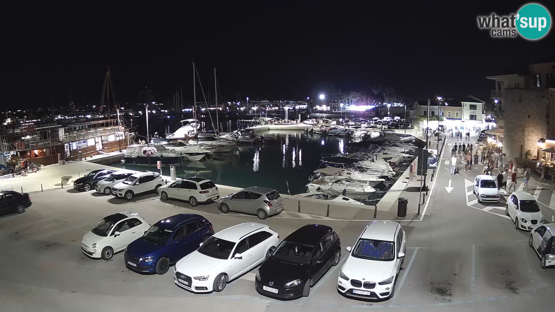 Novigrad | Porporela marina