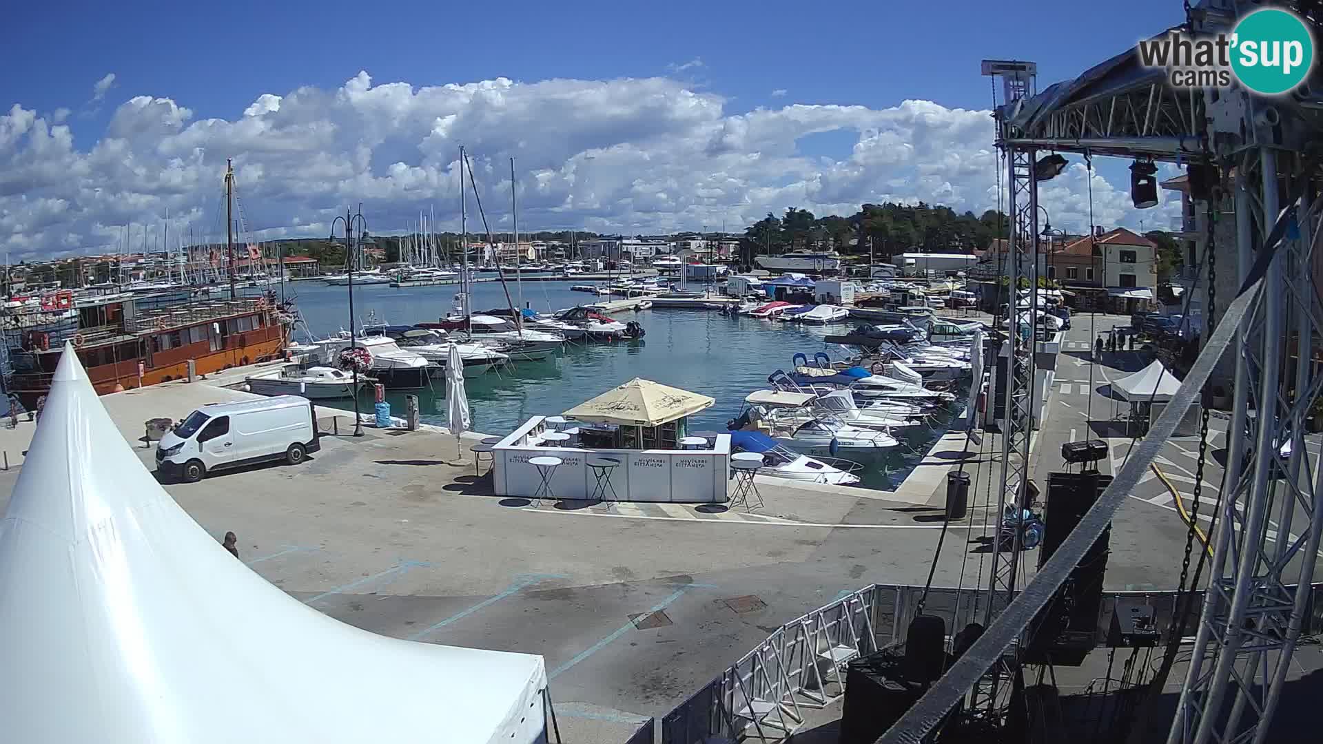 Novigrad | Porporela marina