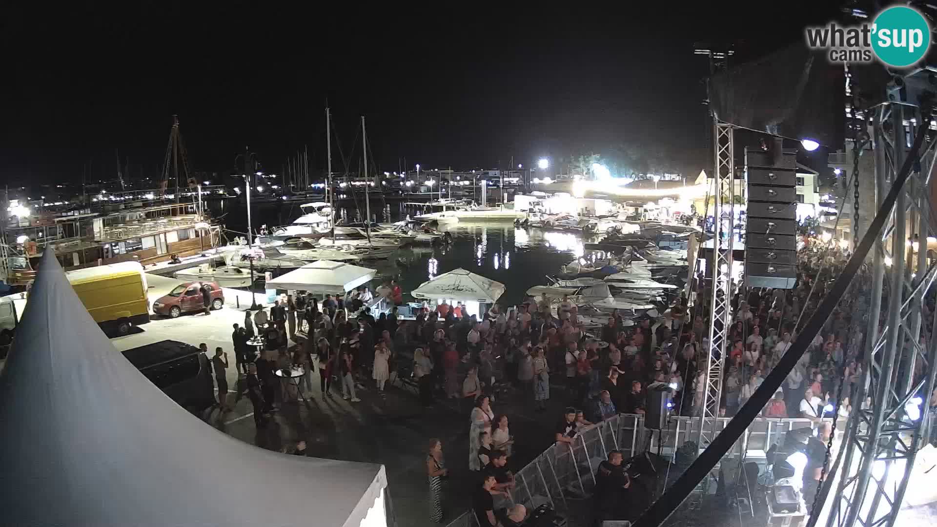Novigrad | Porporela marina