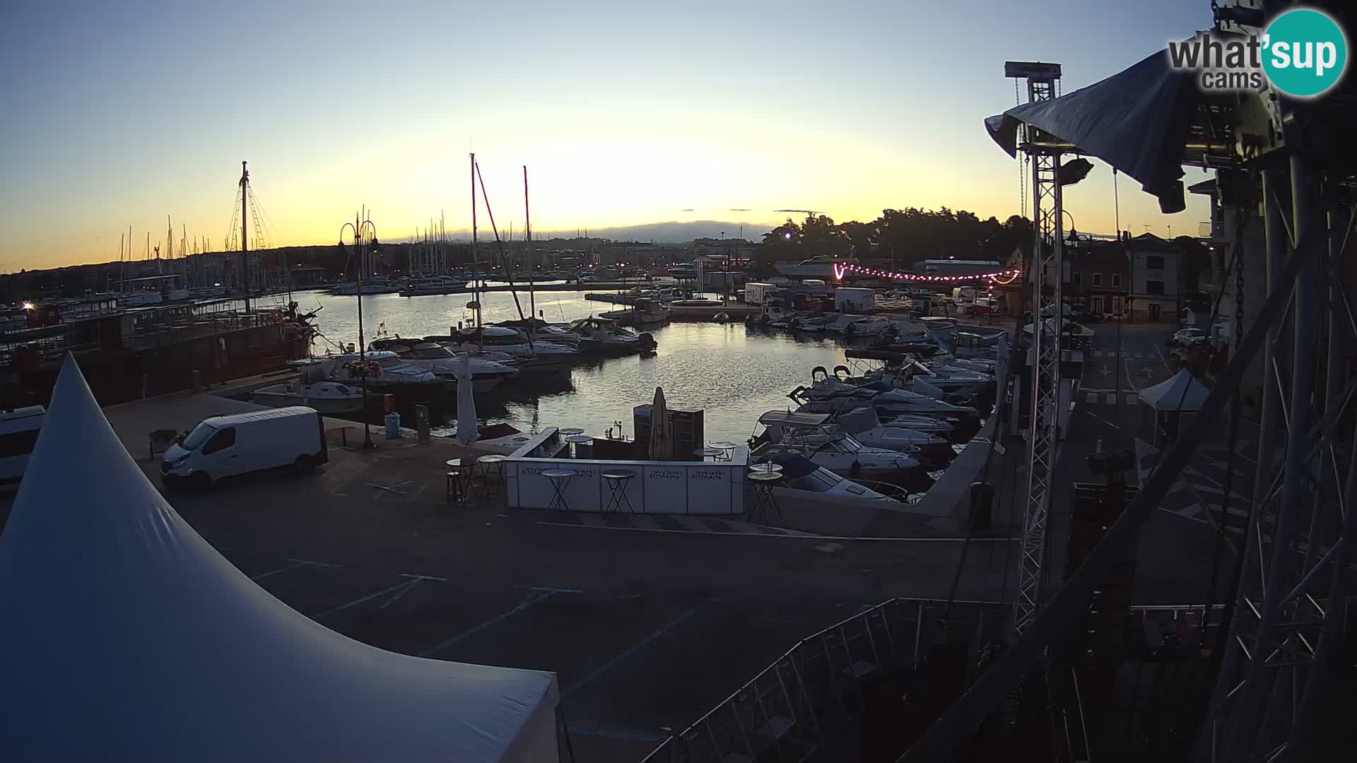 Novigrad | Porporela marina