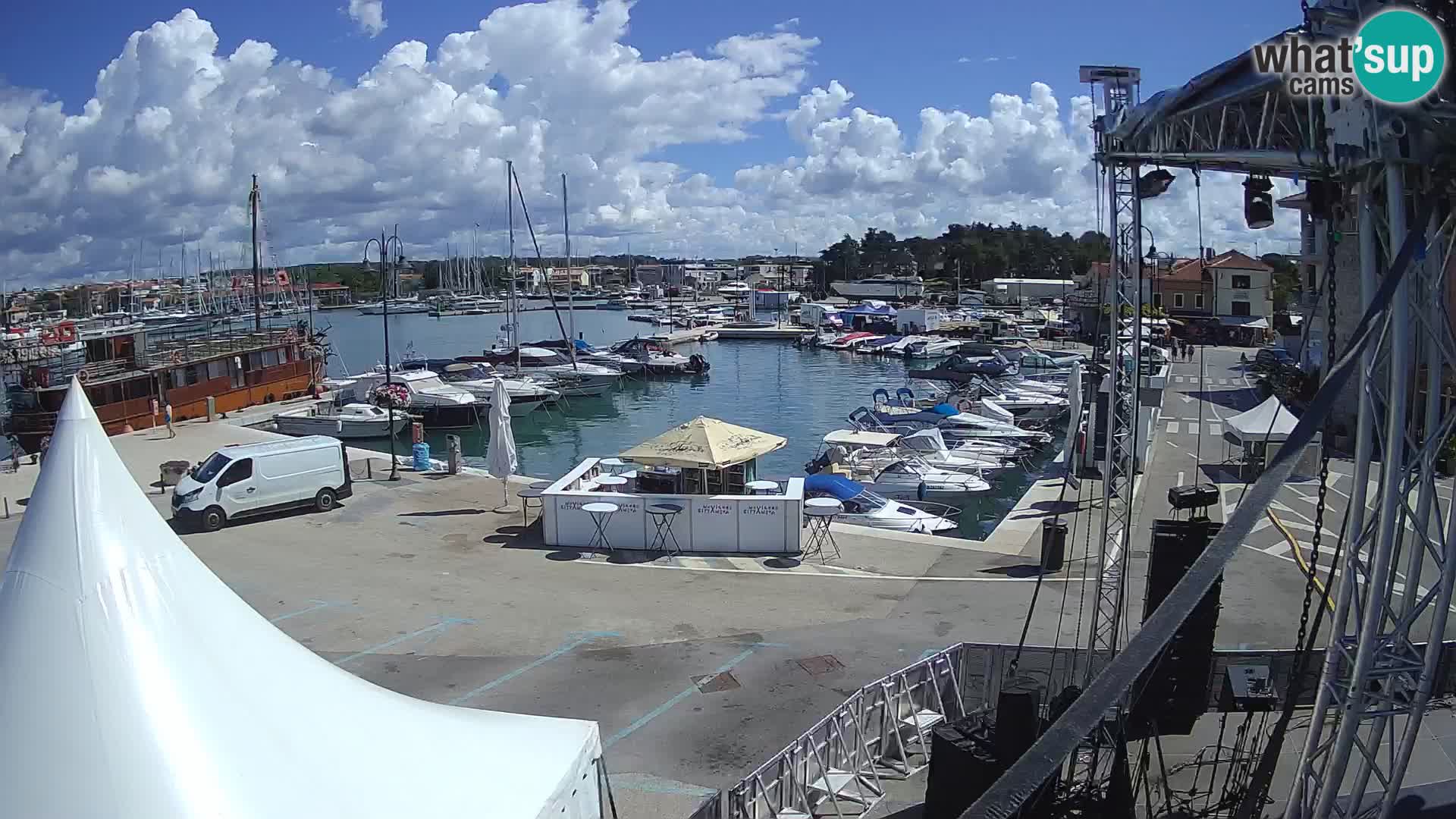 Novigrad | Porporela marina