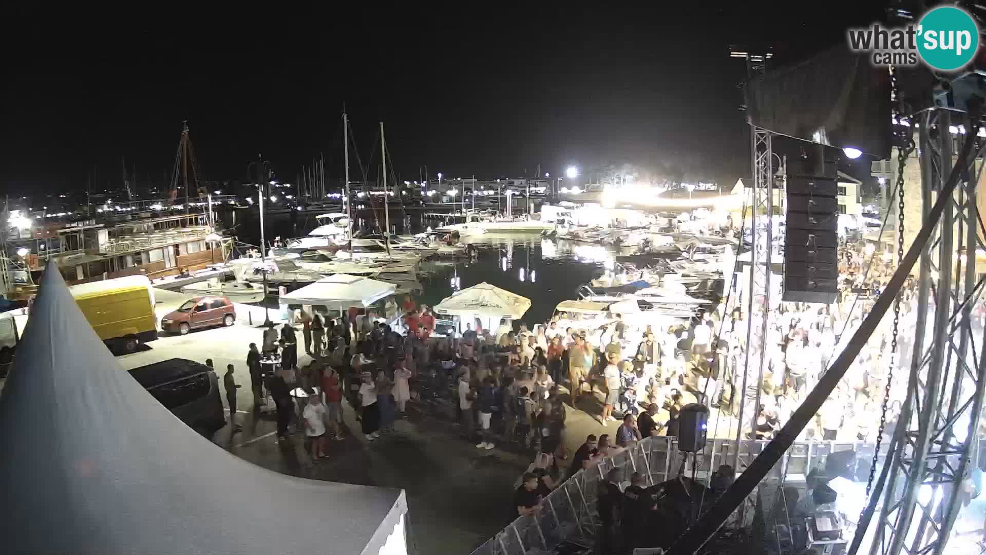 Novigrad | Porporela marina