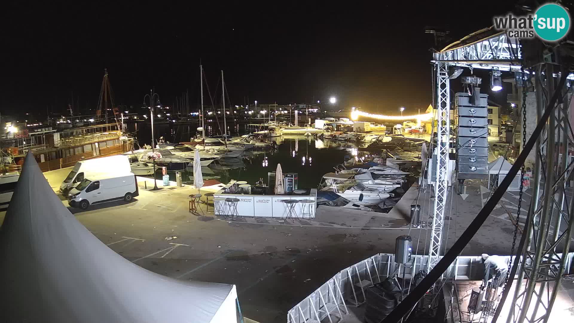 Novigrad | Porporela marina