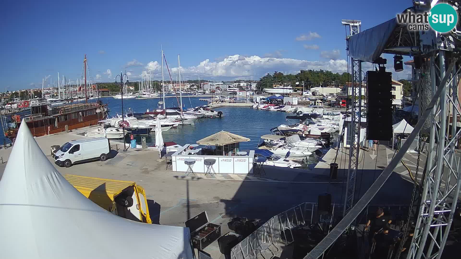 Novigrad | Porporela marina