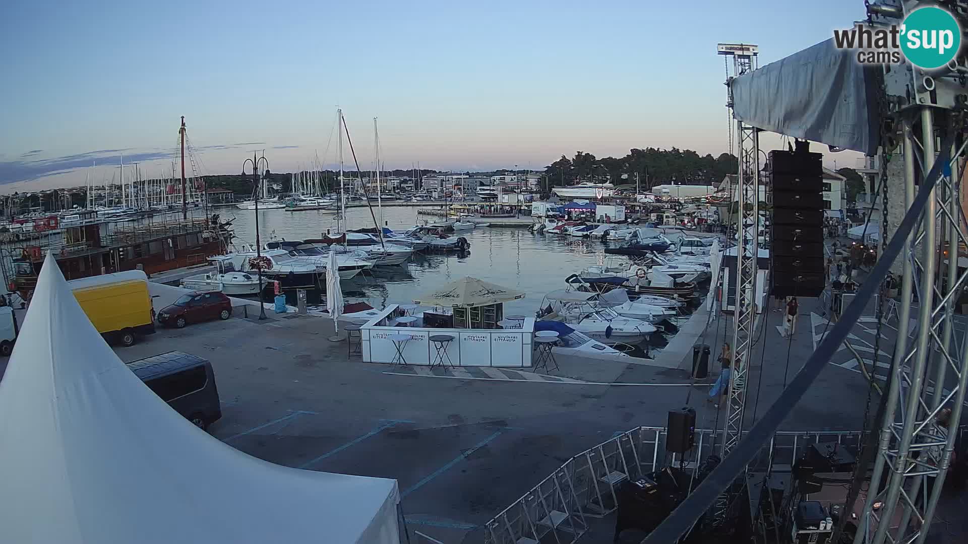 Novigrad | Porporela marina