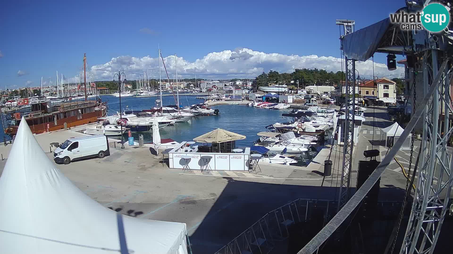 Novigrad | Porporela marina