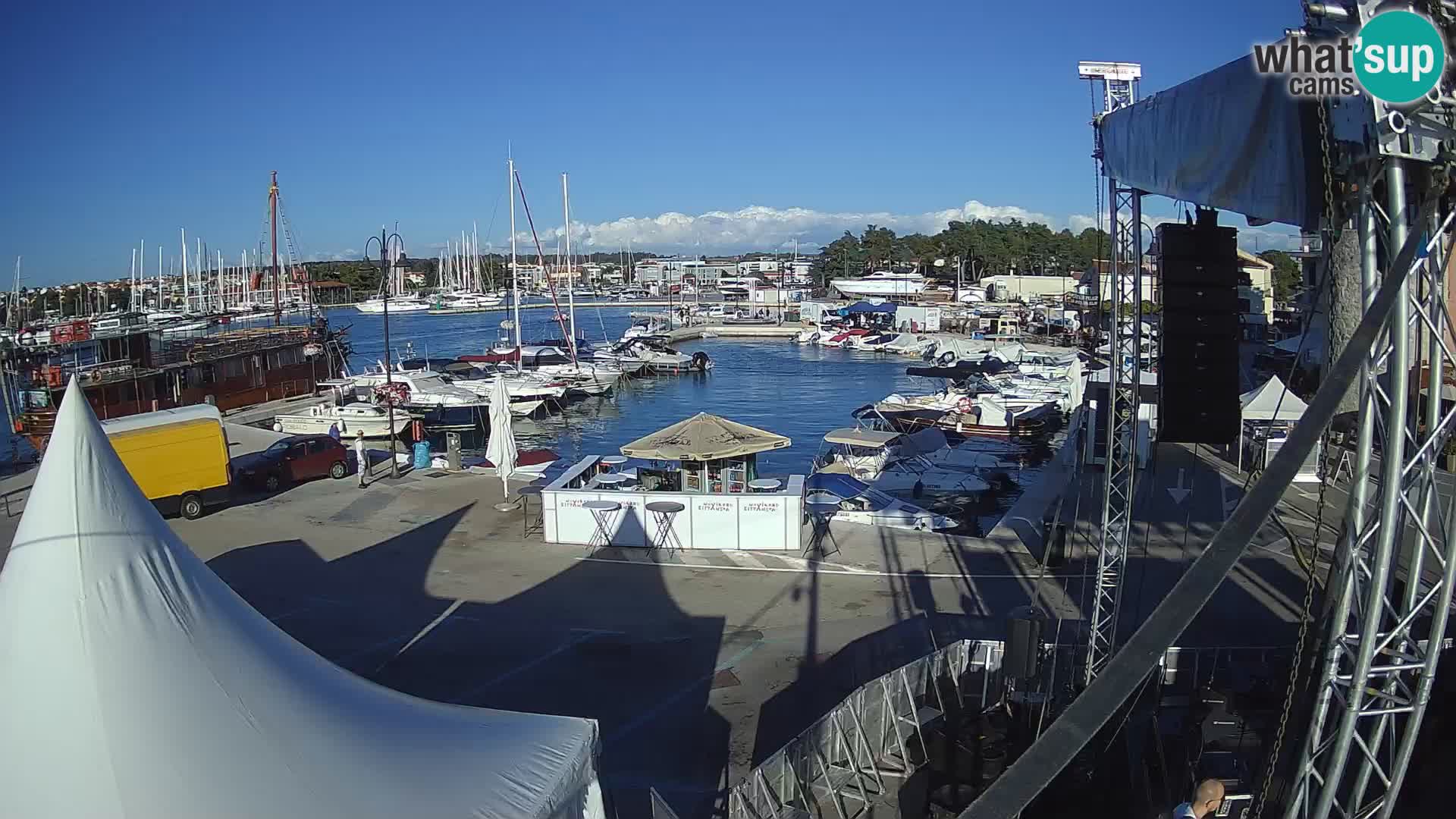 Novigrad | Porporela marina