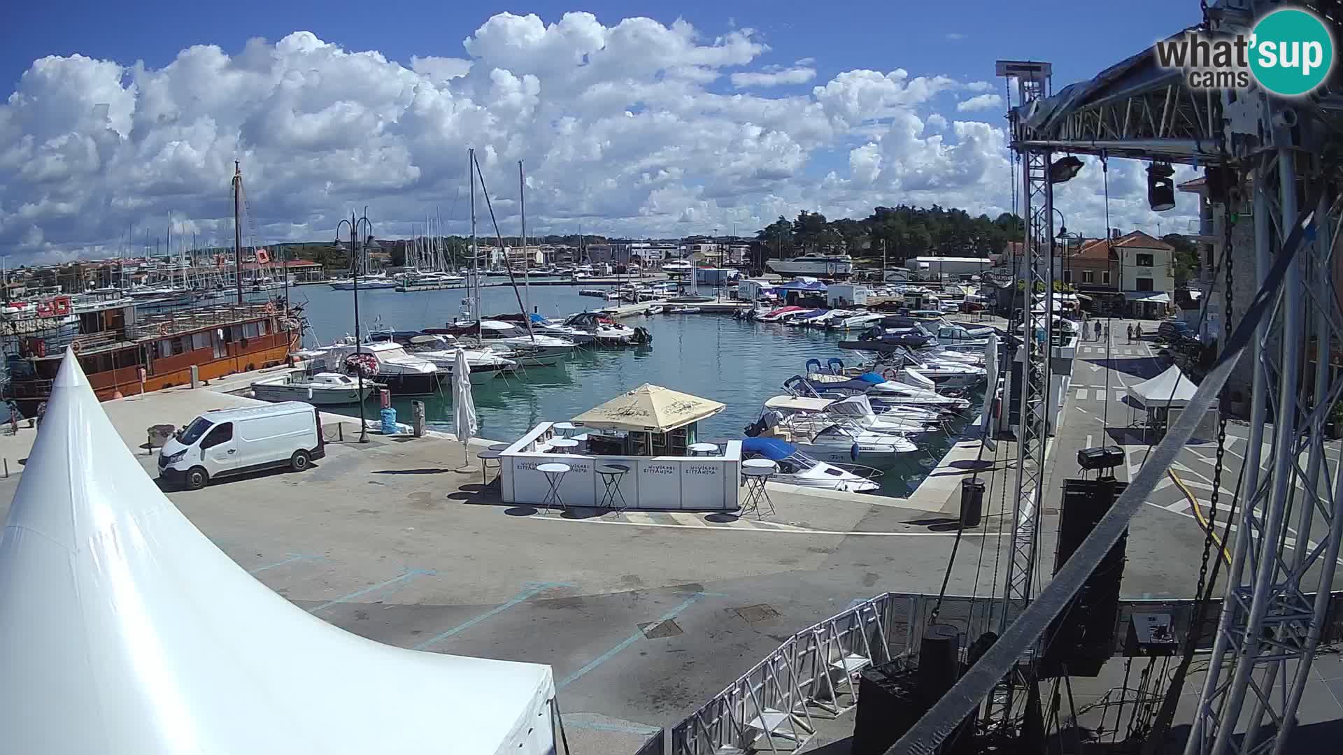 Novigrad | Porporela marina
