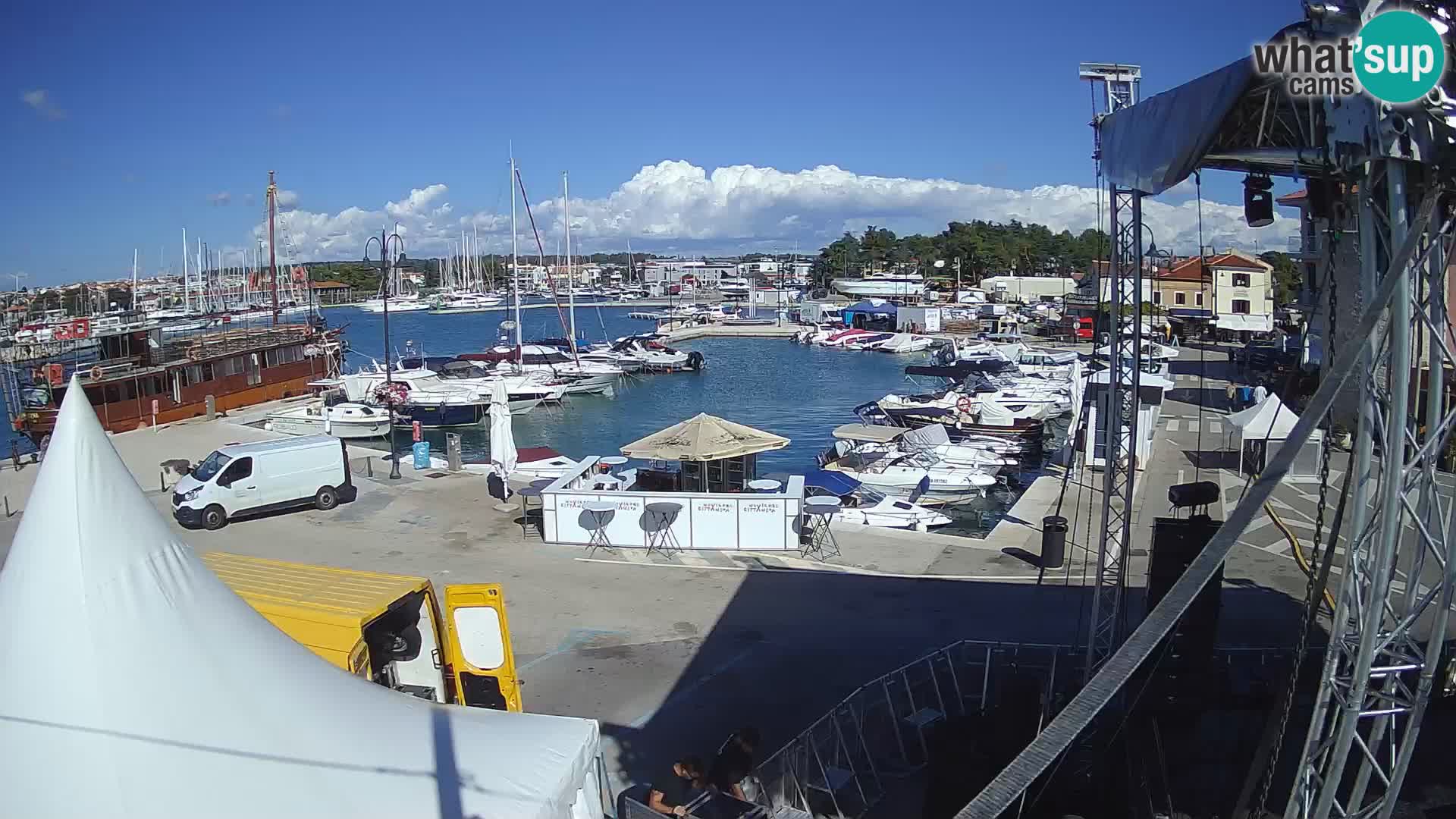 Novigrad | Porporela marina