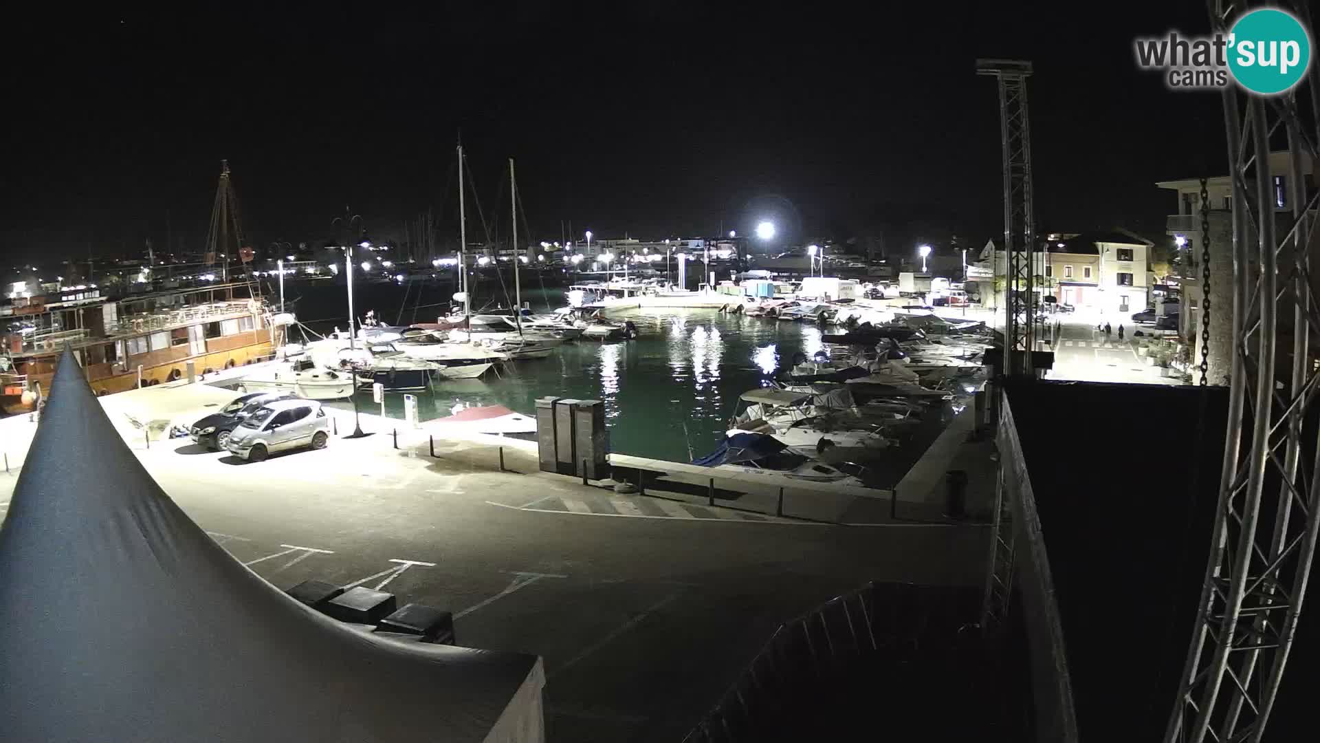 Novigrad | Porporela marina
