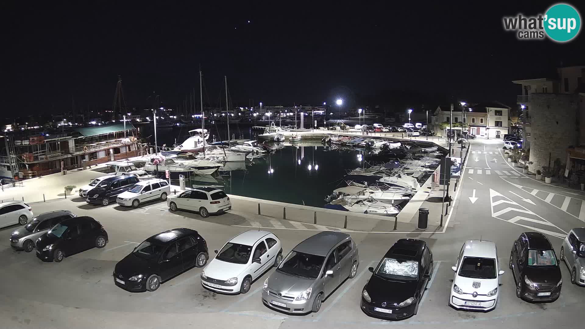 Novigrad | Porporela marina