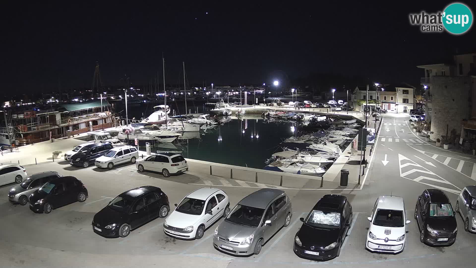 Novigrad | Porporela marina