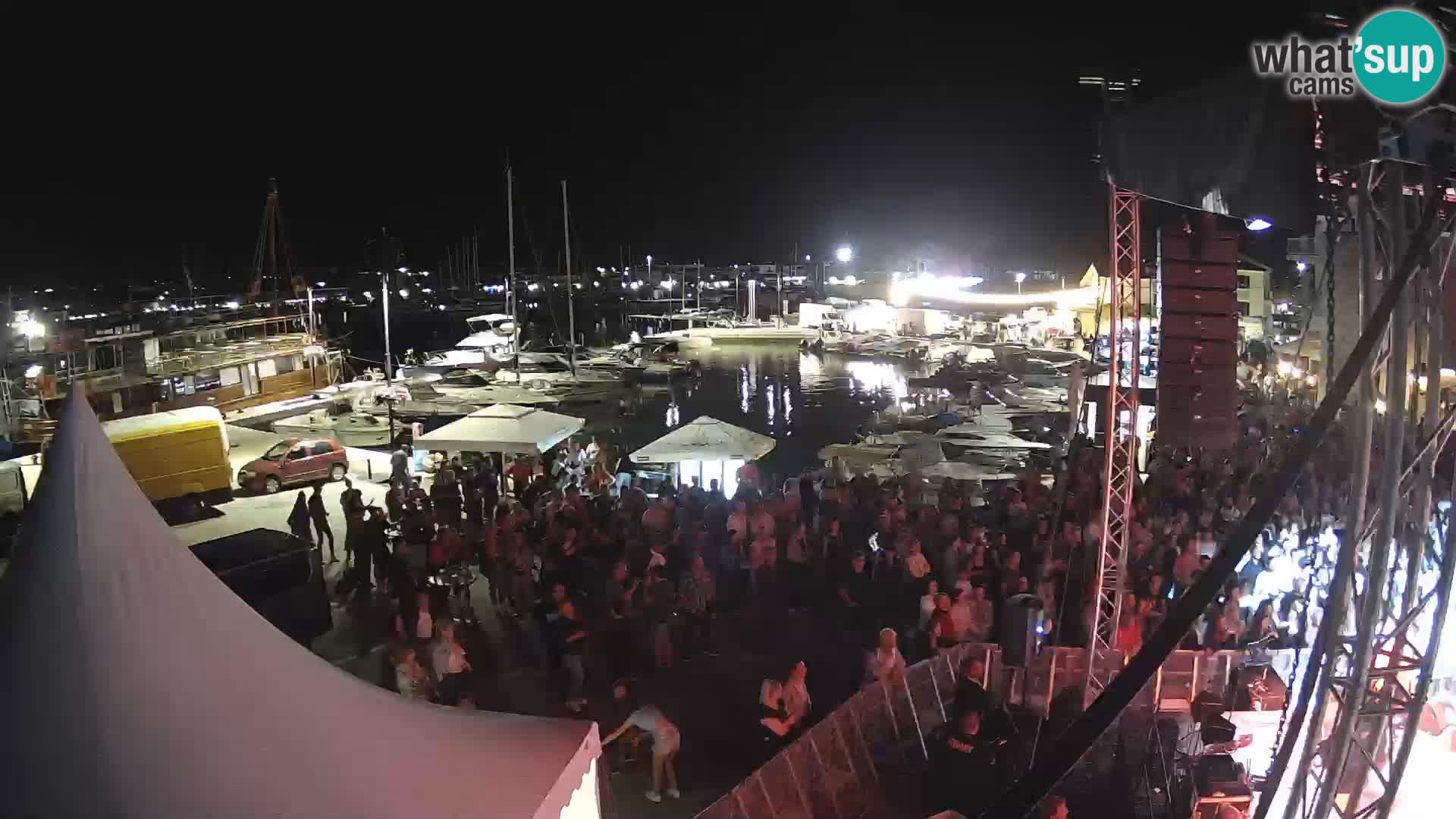 Novigrad | Porporela marina