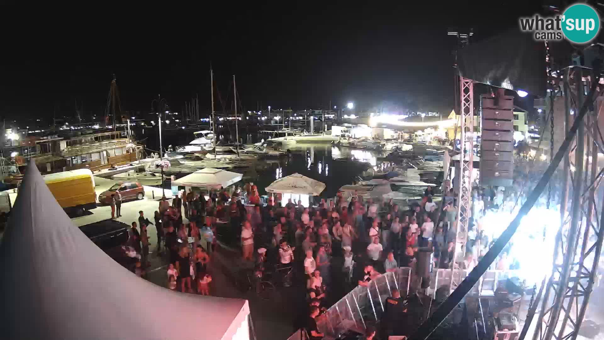Novigrad | Porporela marina