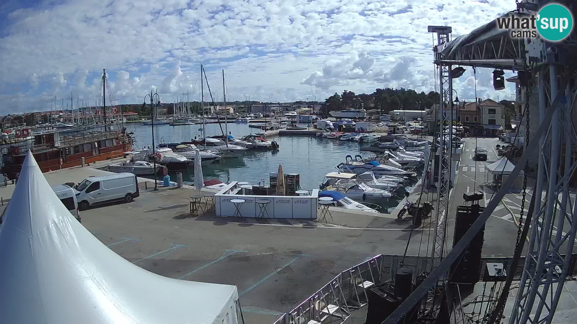 Novigrad | Porporela marina