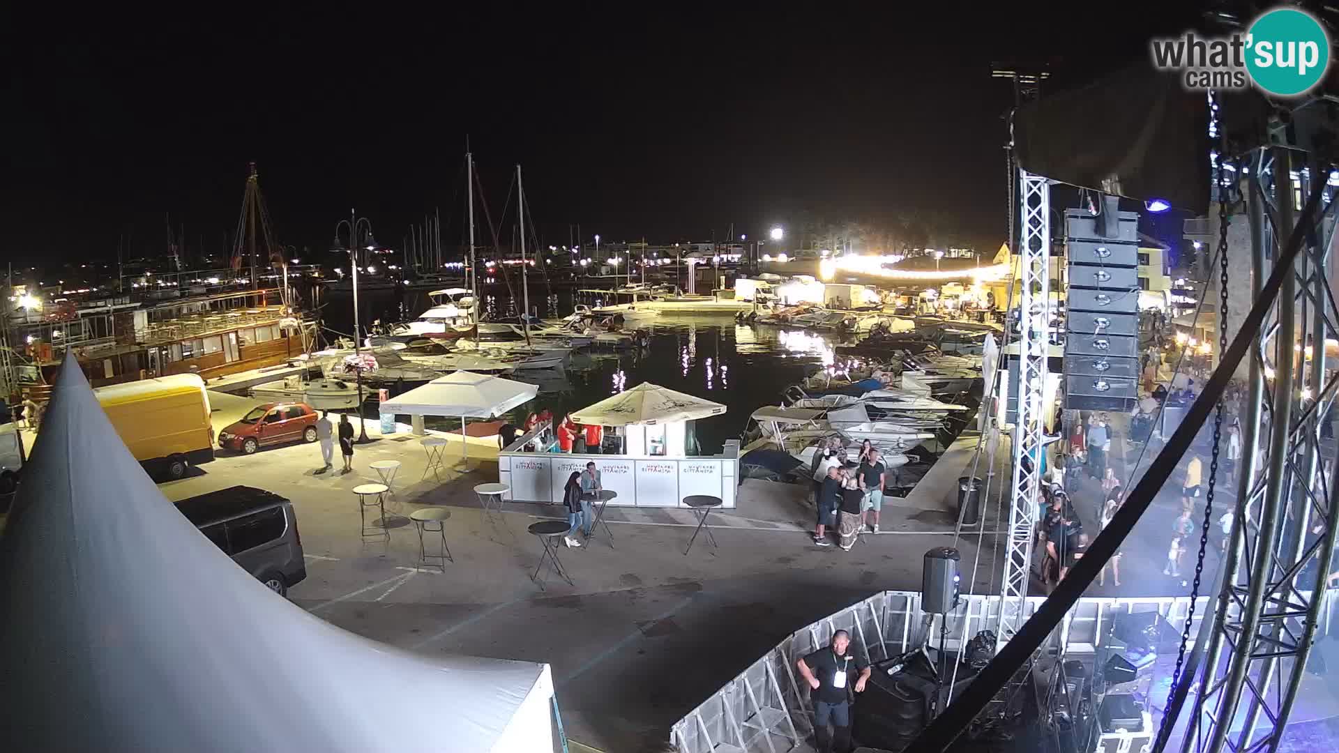 Novigrad | Porporela marina