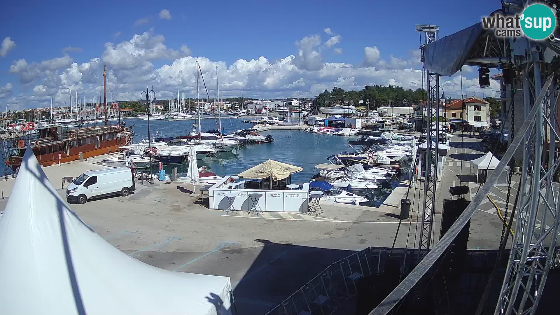 Novigrad | Porporela marina