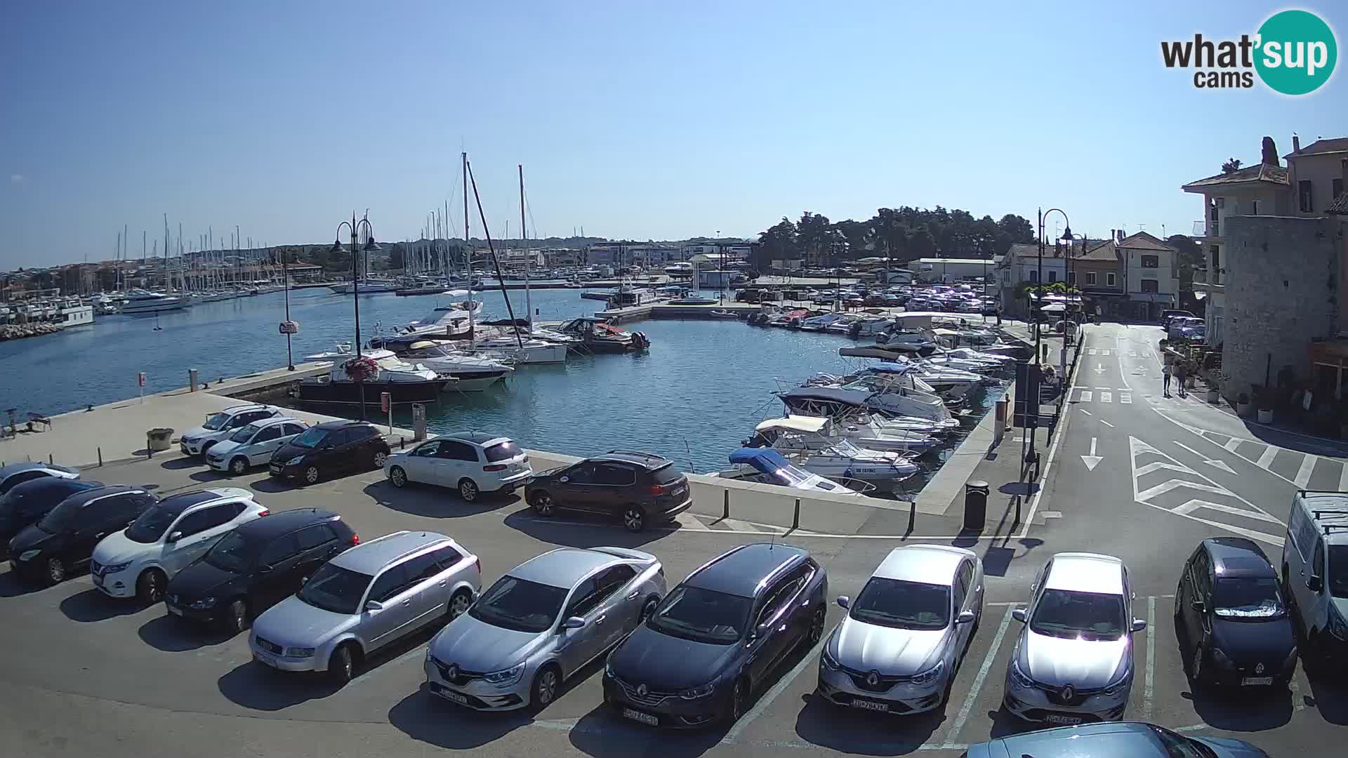 Novigrad | Porporela marina