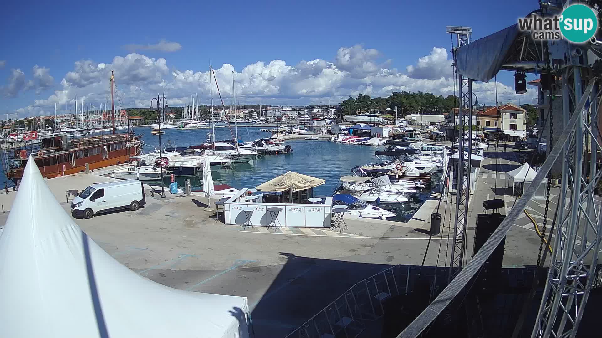 Novigrad | Porporela marina