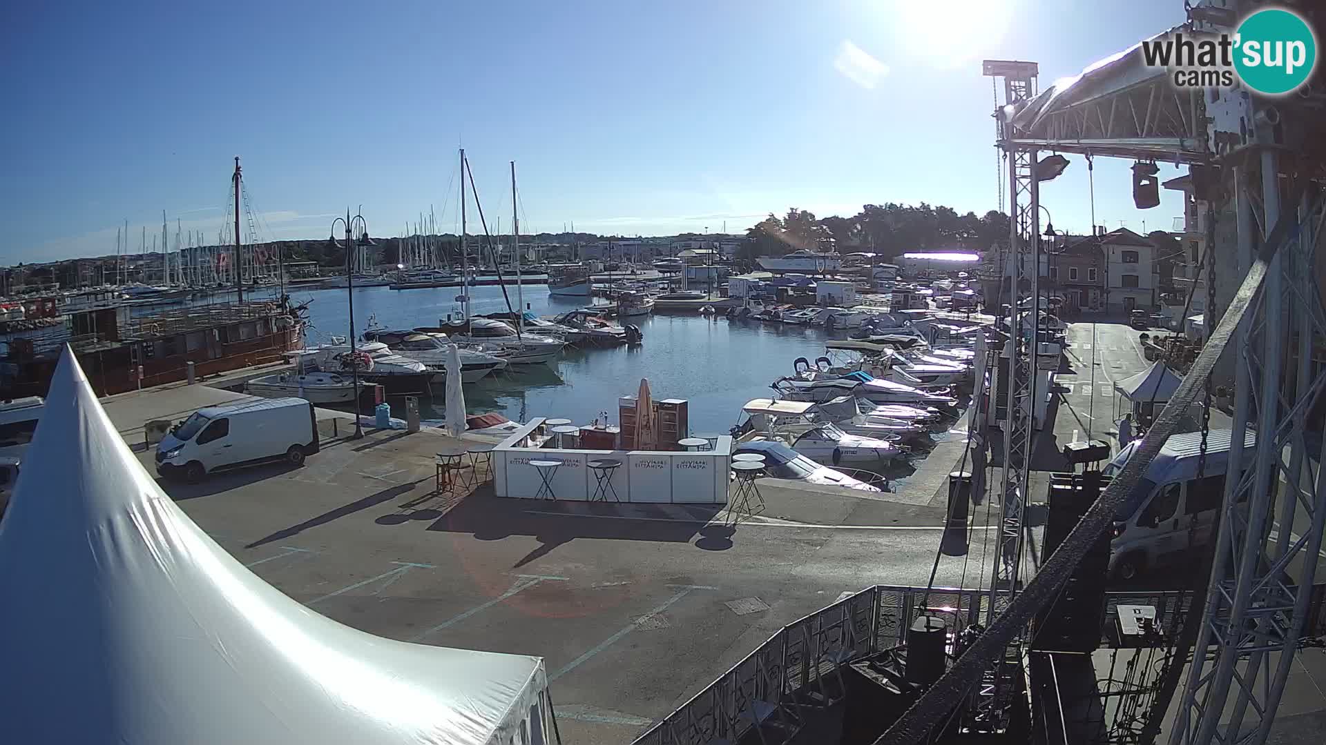 Novigrad | Porporela marina