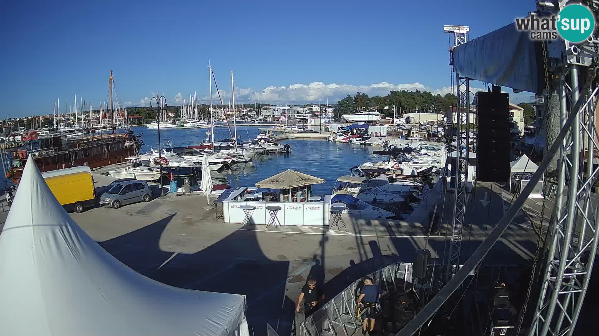 Novigrad | Porporela marina