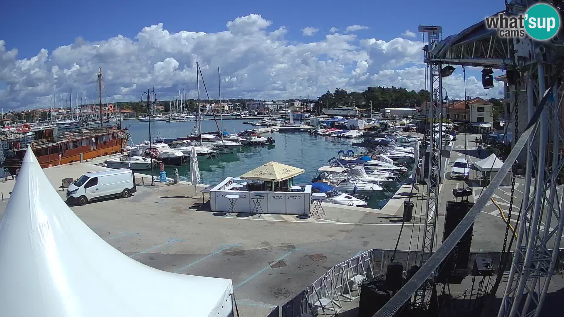 Novigrad | Porporela marina