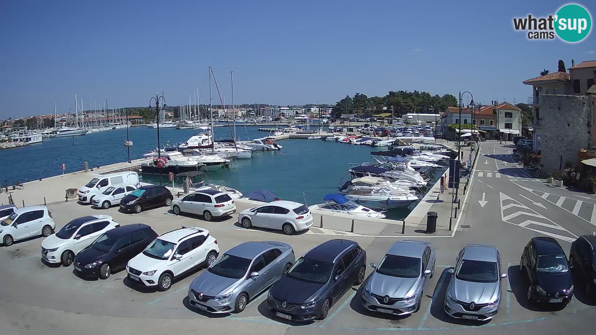 Novigrad | Porporela marina