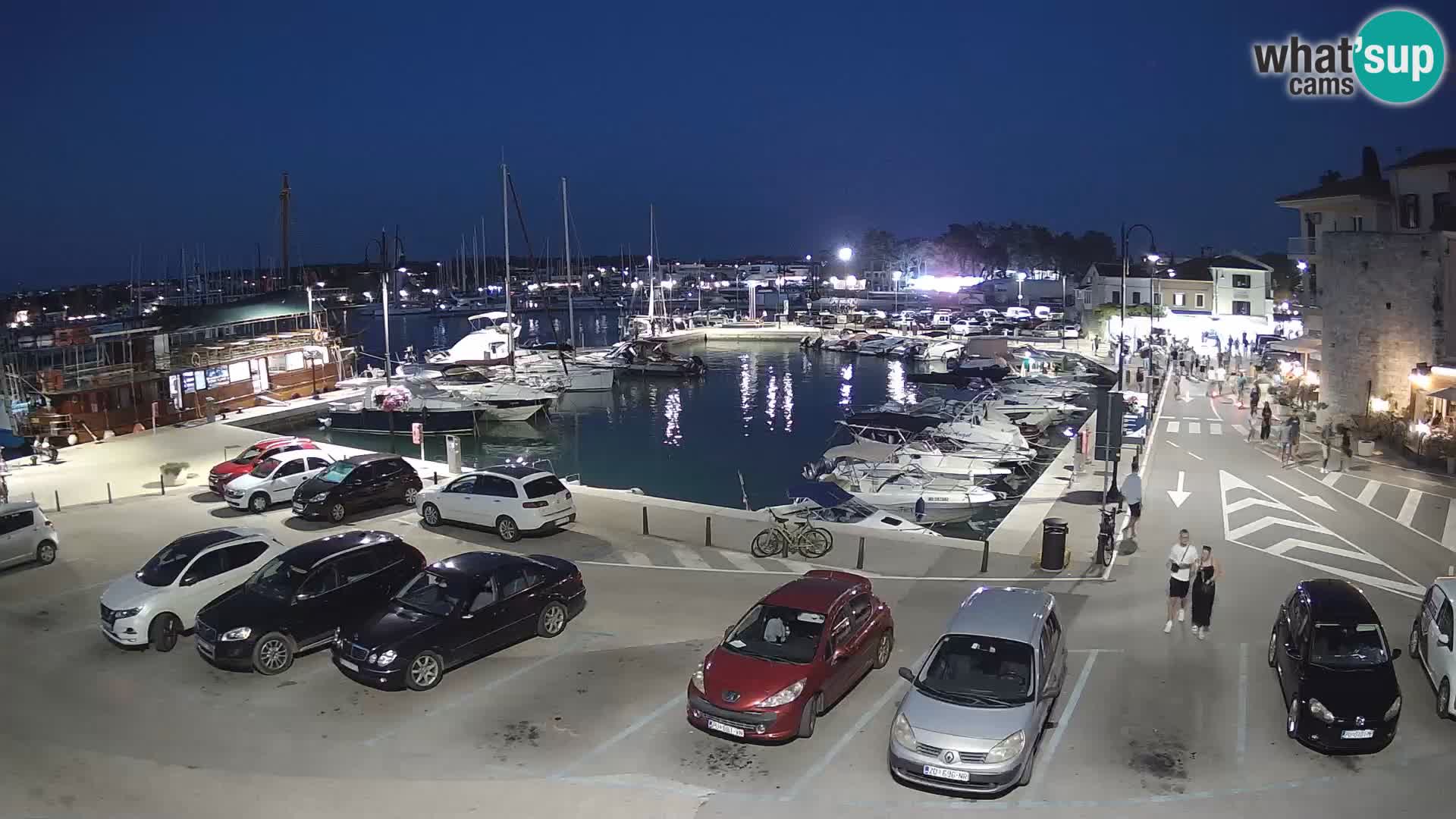 Novigrad | Porporela marina