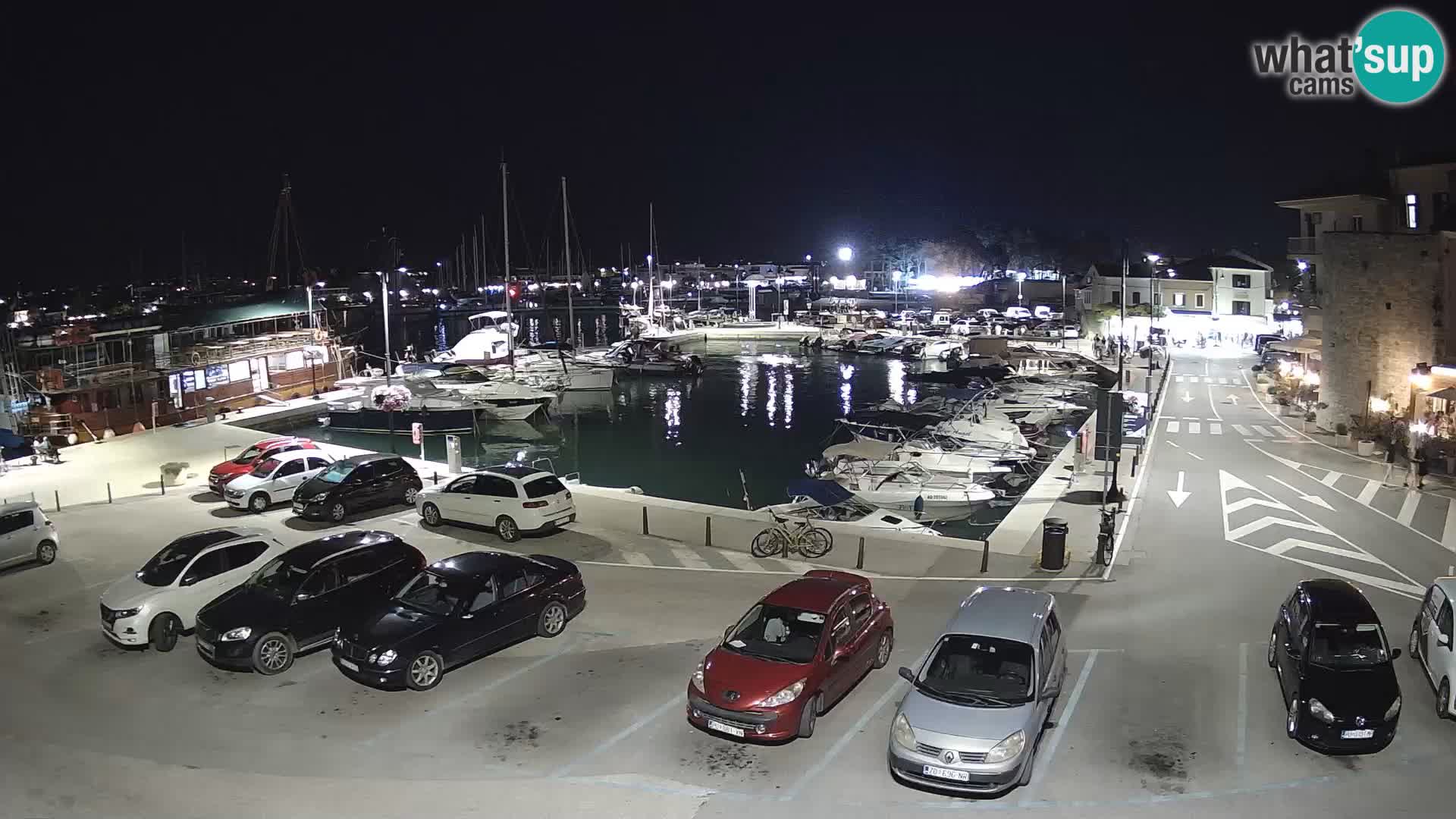 Novigrad | Porporela marina