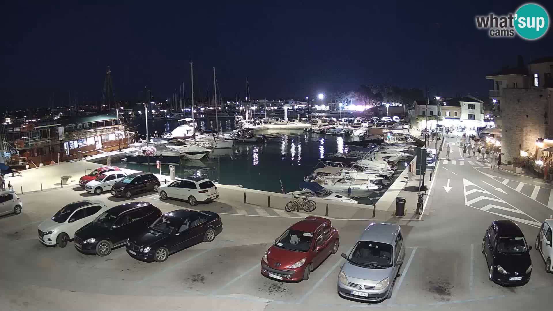 Novigrad | Porporela marina