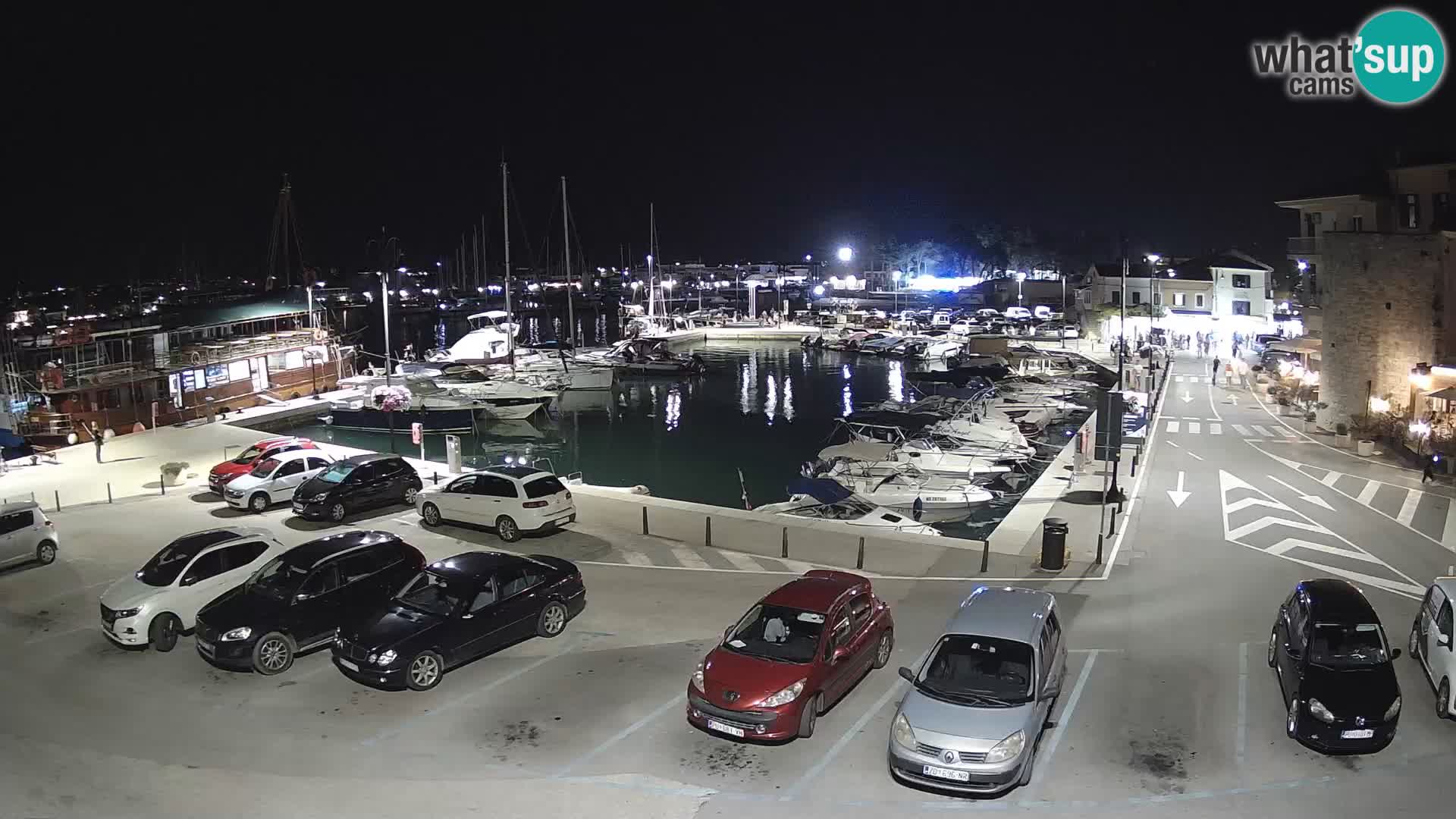 Novigrad | Porporela marina