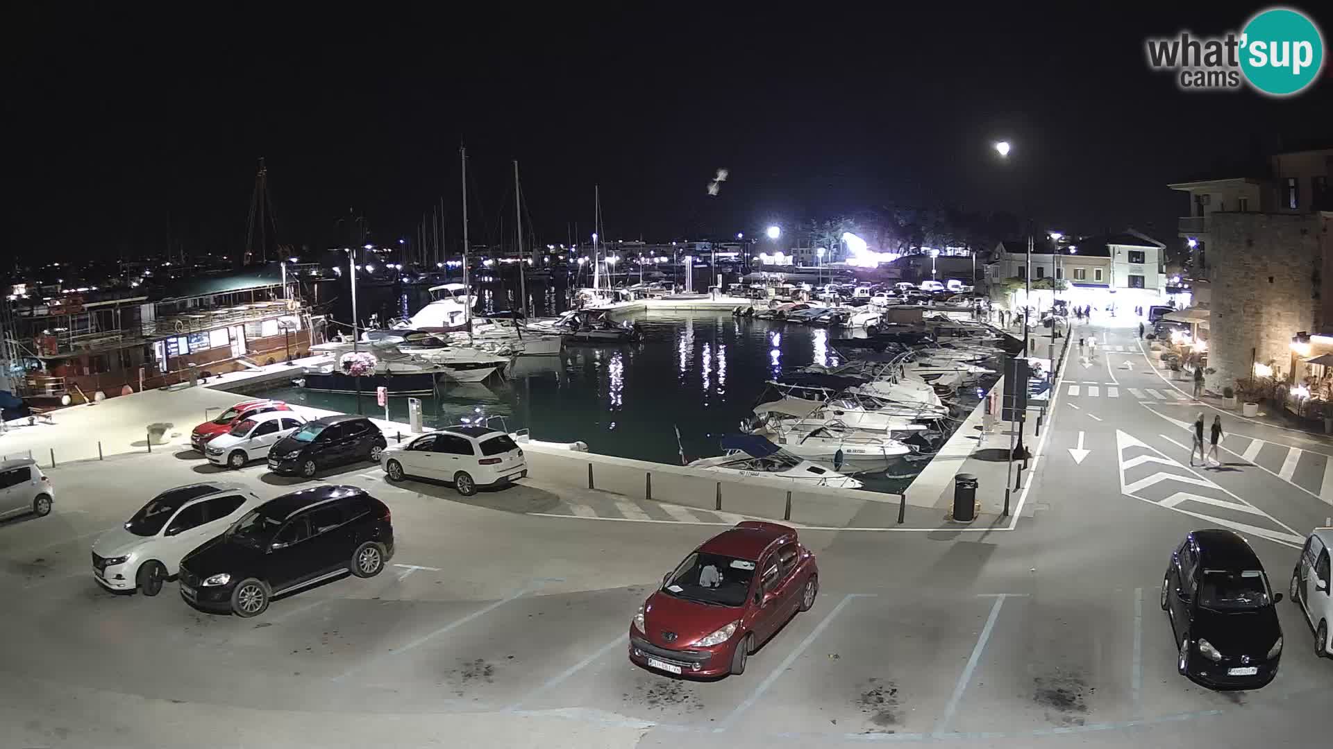 Novigrad | Porporela marina