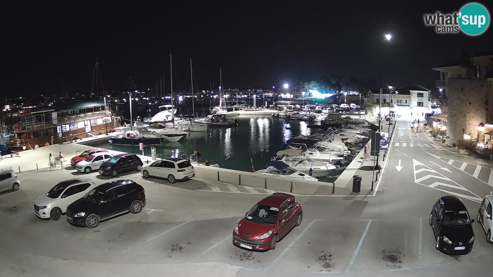 Novigrad | Porporela marina