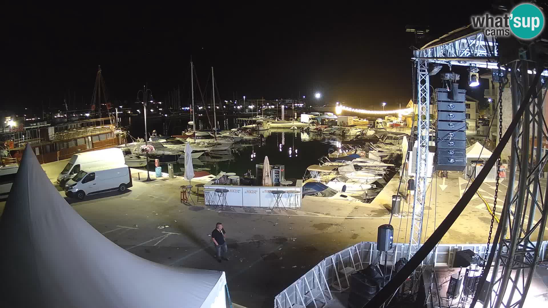 Novigrad | Porporela marina
