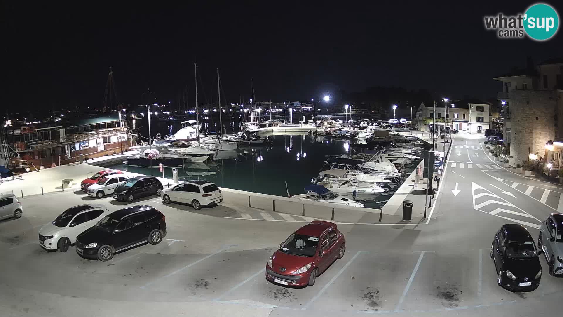 Novigrad | Porporela marina