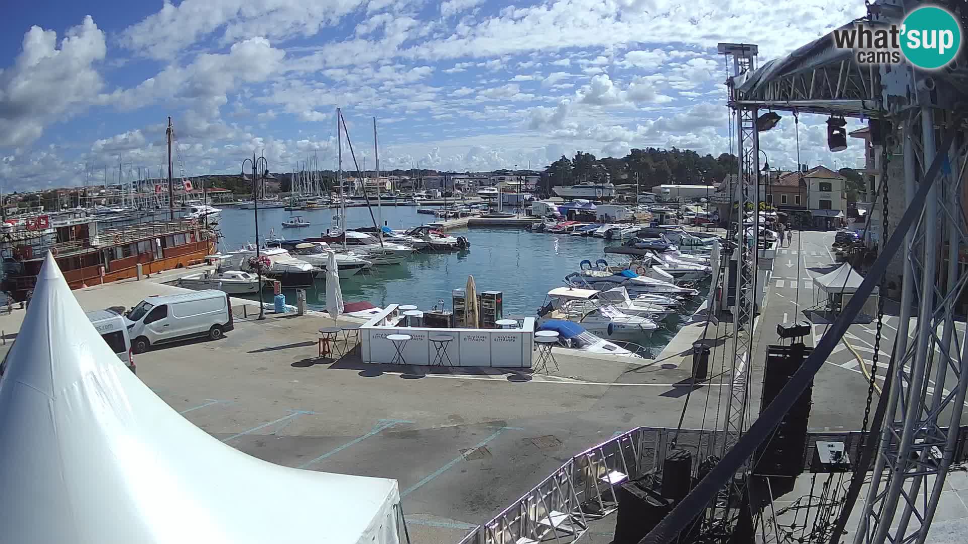 Novigrad | Porporela marina