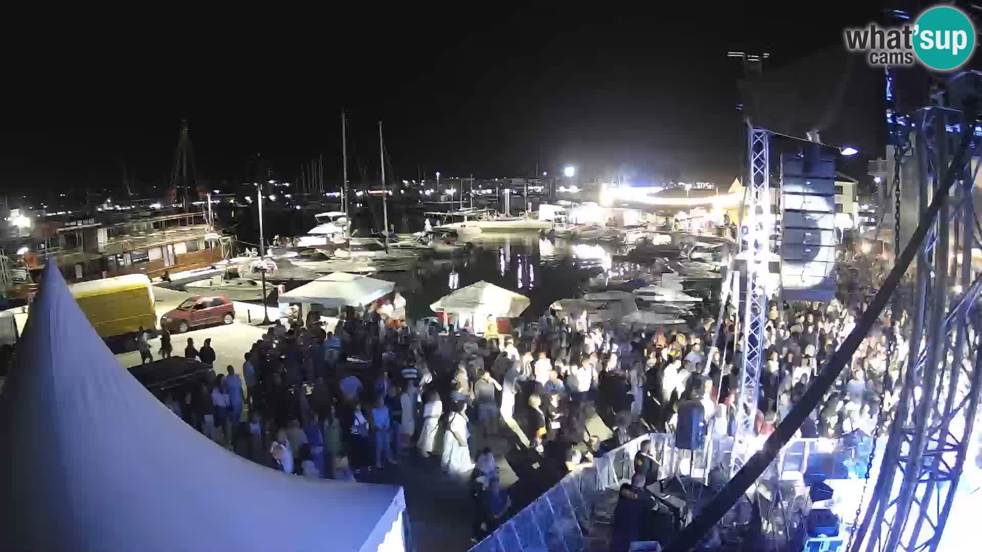 Novigrad | Porporela marina