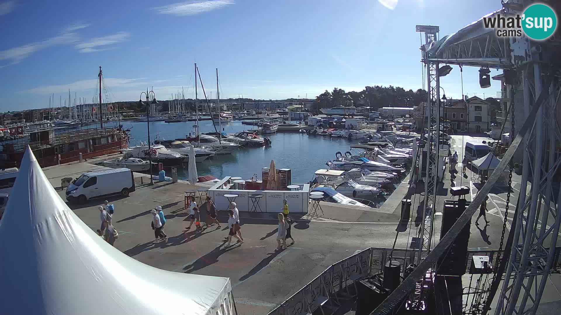 Novigrad | Porporela marina
