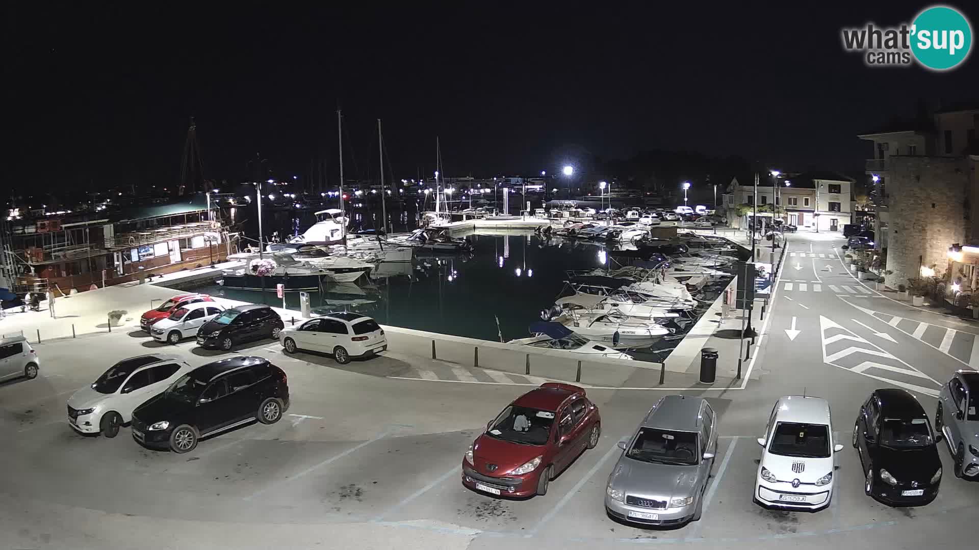 Novigrad | Porporela marina