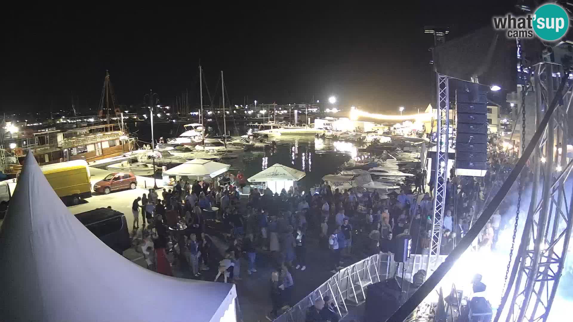 Novigrad | Porporela marina