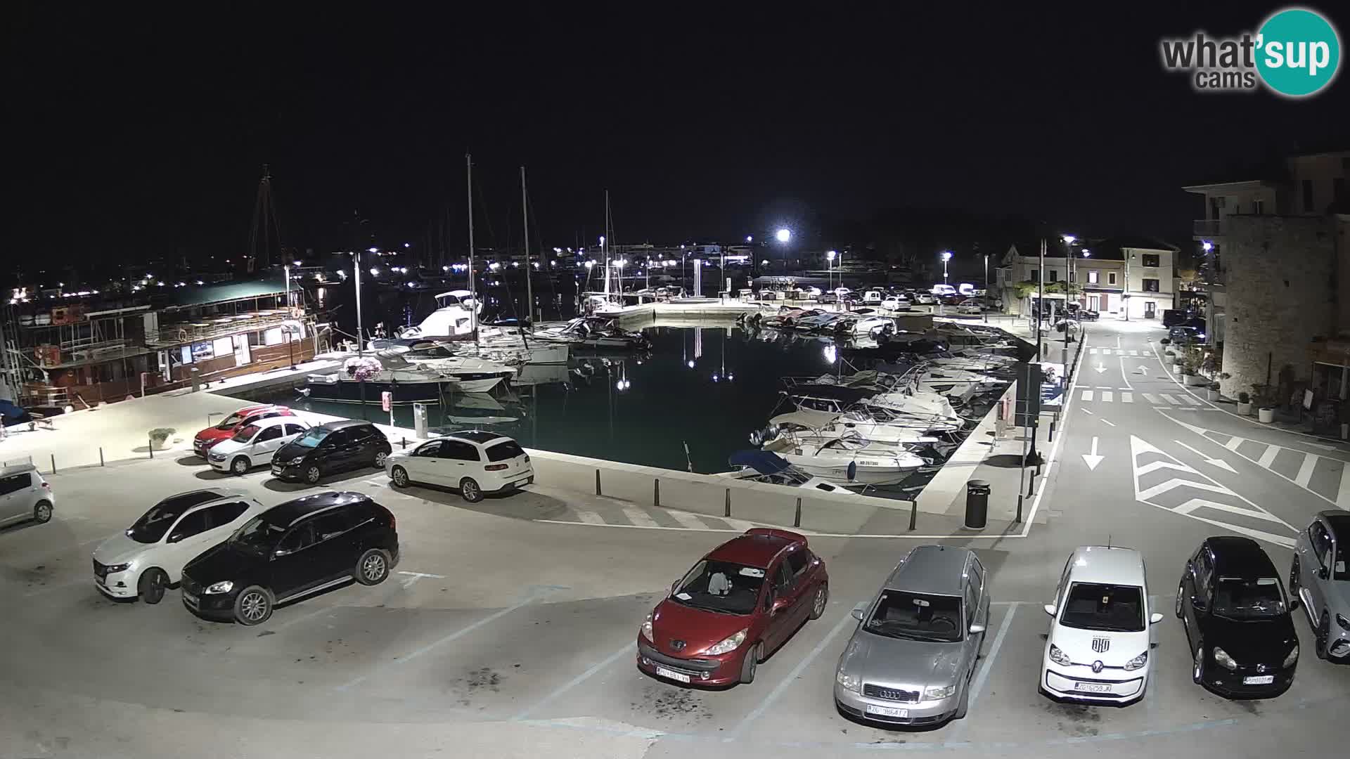 Novigrad | Porporela marina