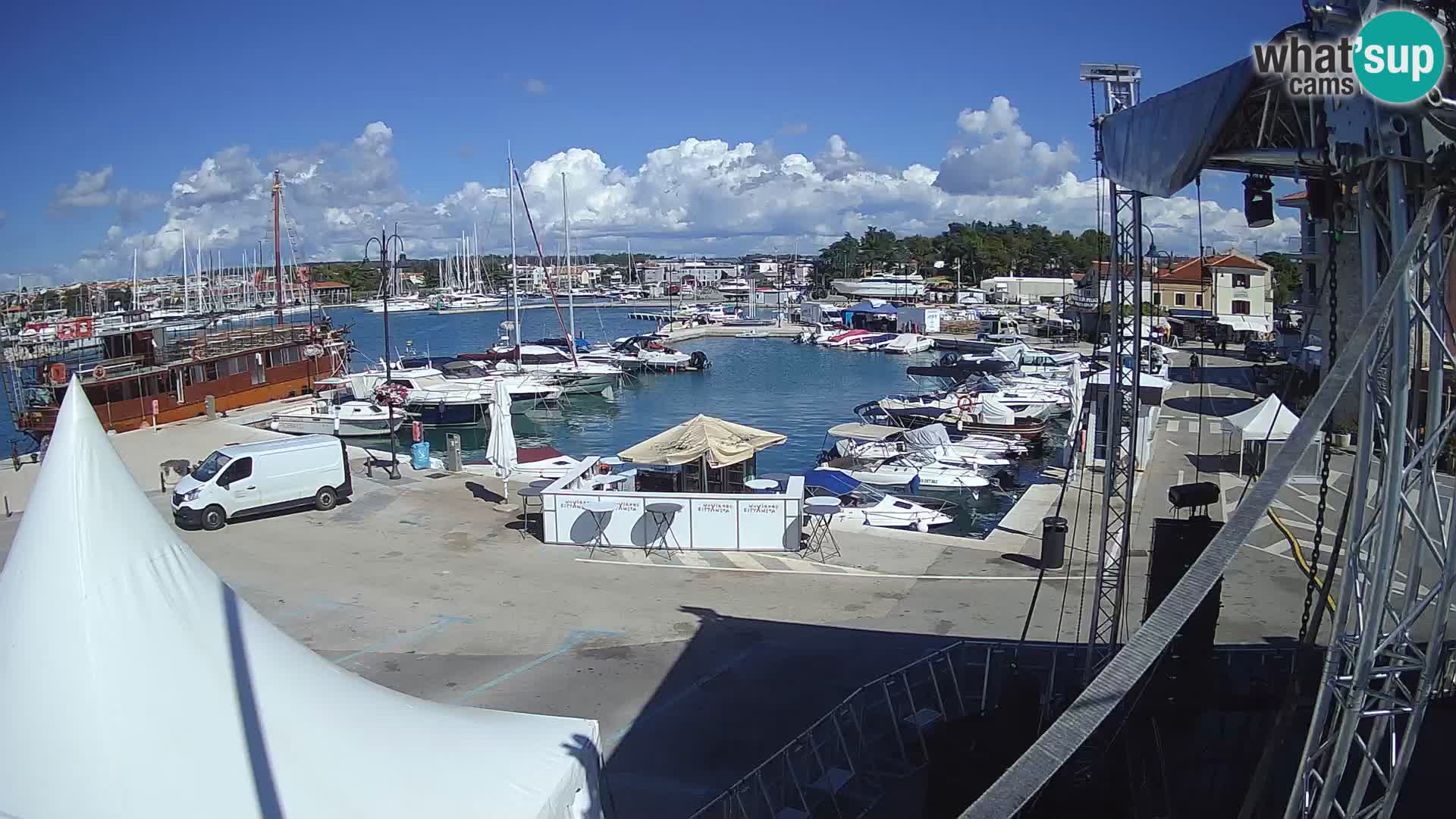 Novigrad | Porporela marina