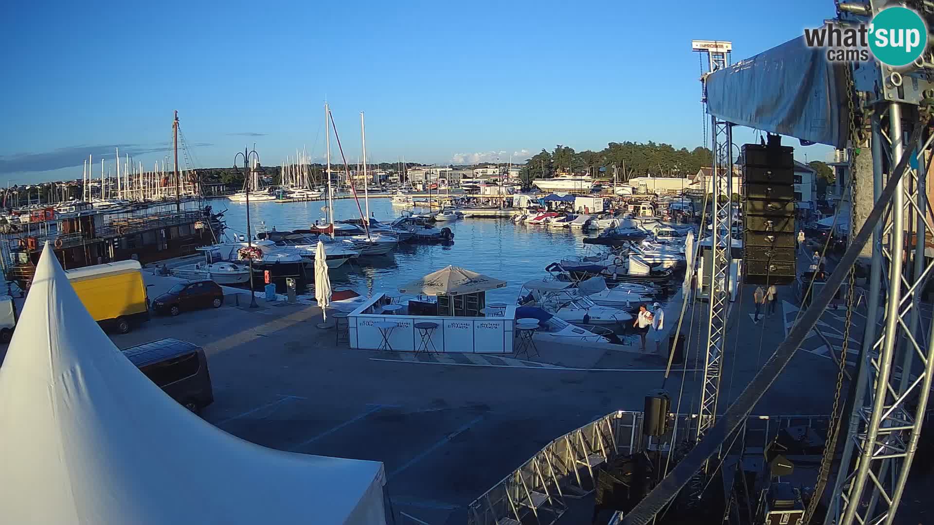 Novigrad | Porporela marina