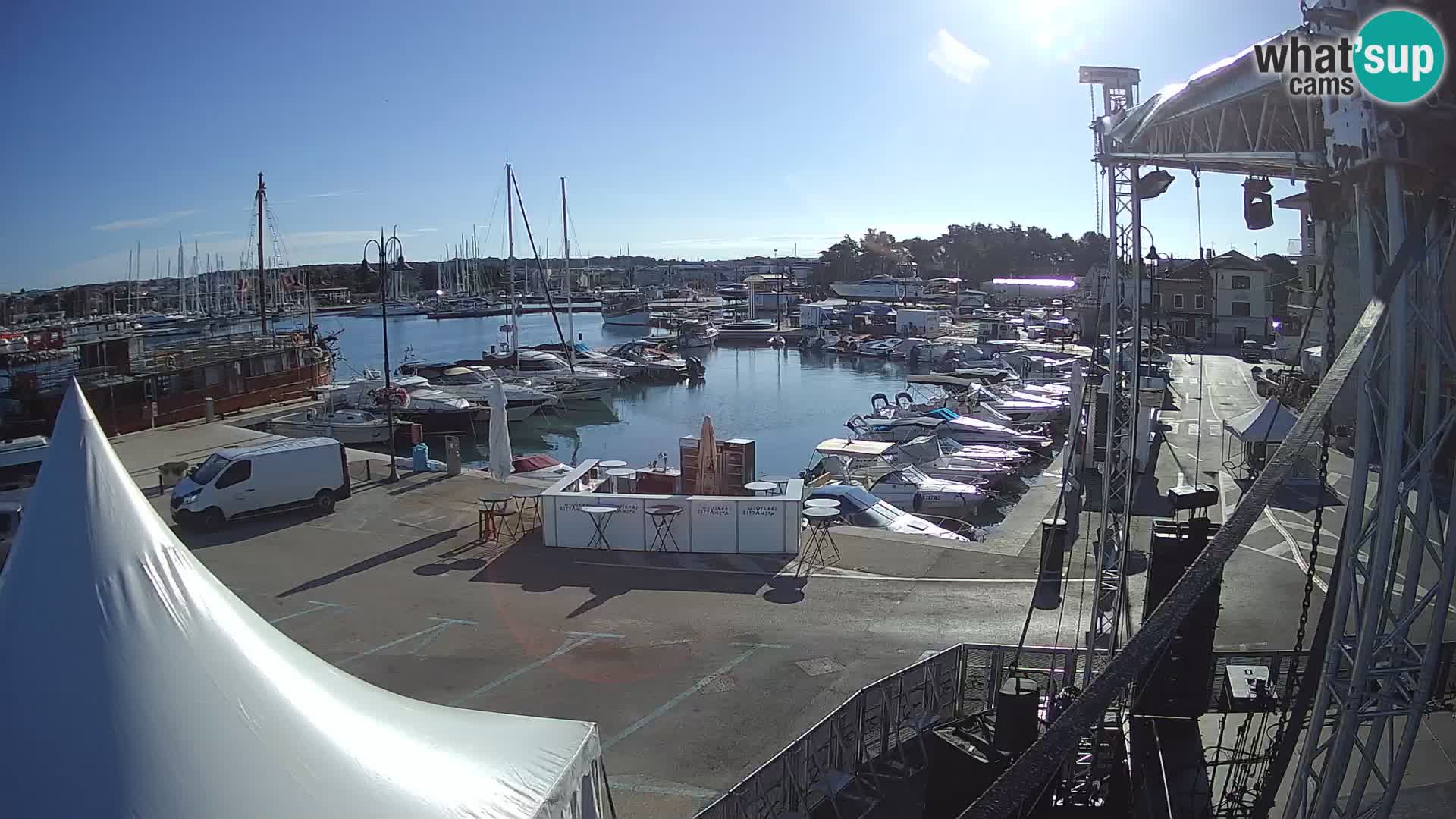 Novigrad | Porporela marina